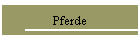 Pferde