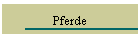 Pferde