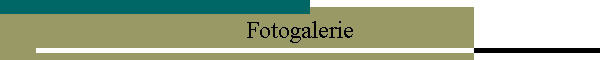 Fotogalerie