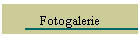 Fotogalerie