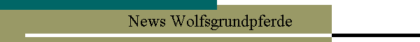 News Wolfsgrundpferde